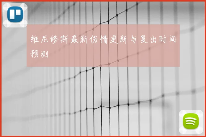 维尼修斯最新伤情更新与复出时间预测