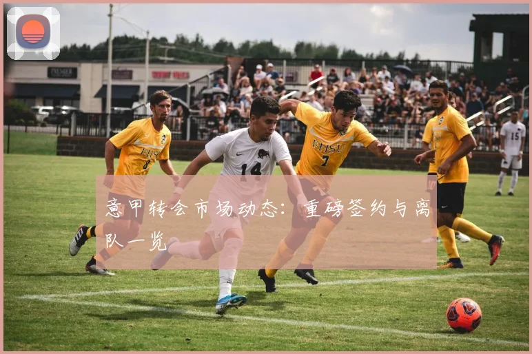 意甲转会市场动态:重磅签约与离队一览