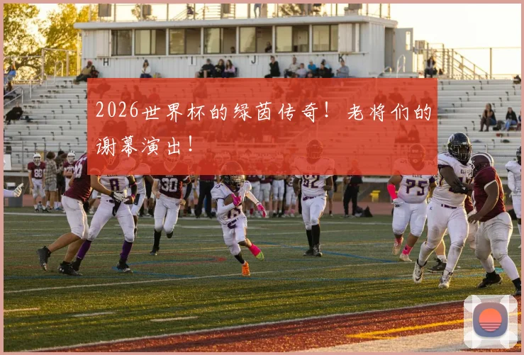 2026世界杯的绿茵传奇！老将们的谢幕演出！